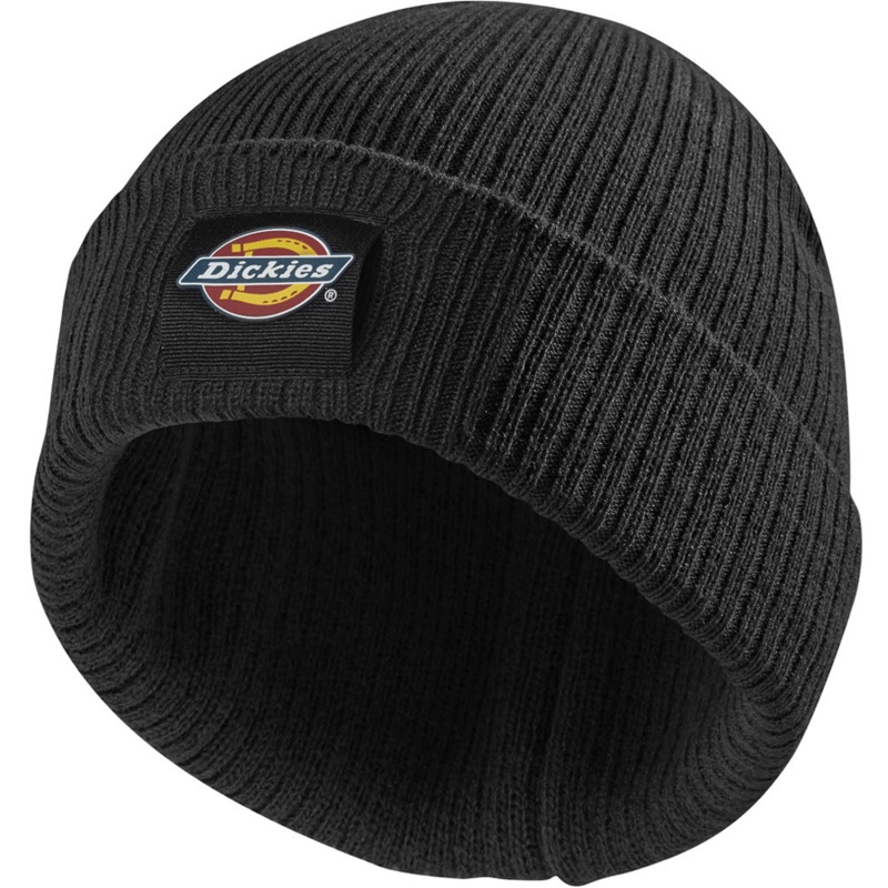 Dickies DT8003 22 Evadale Logo Beanie Various Colours Black One Size