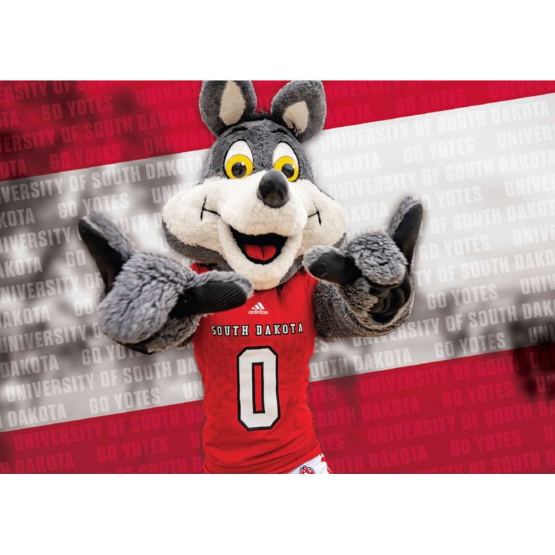 USD Postcards Asst images Charlie