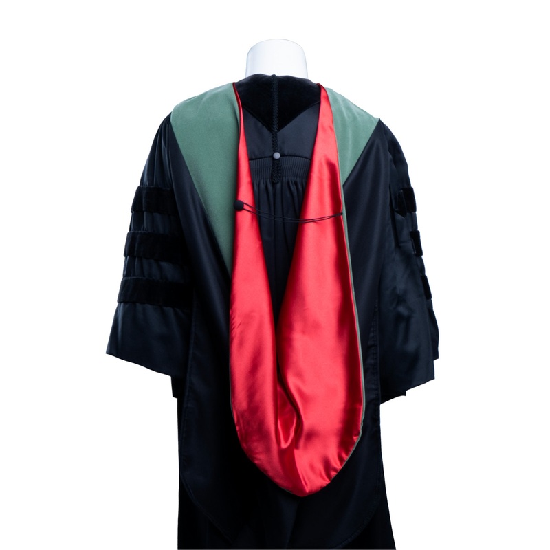 Graduation Doctoral Hoods Doctor of Audiology-Sage