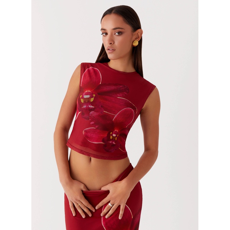 Waiting for Dawn Mesh Top – Rosa Rosa US 0