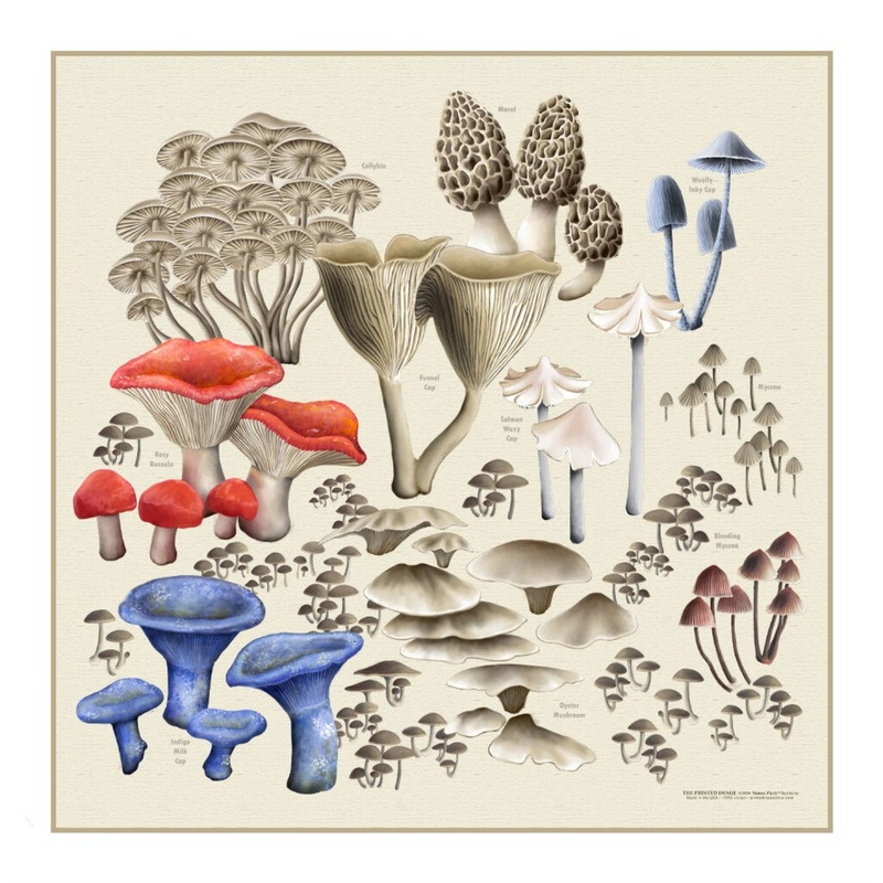 The Printed Image Nature Facts Bandanas MUSHROOMS