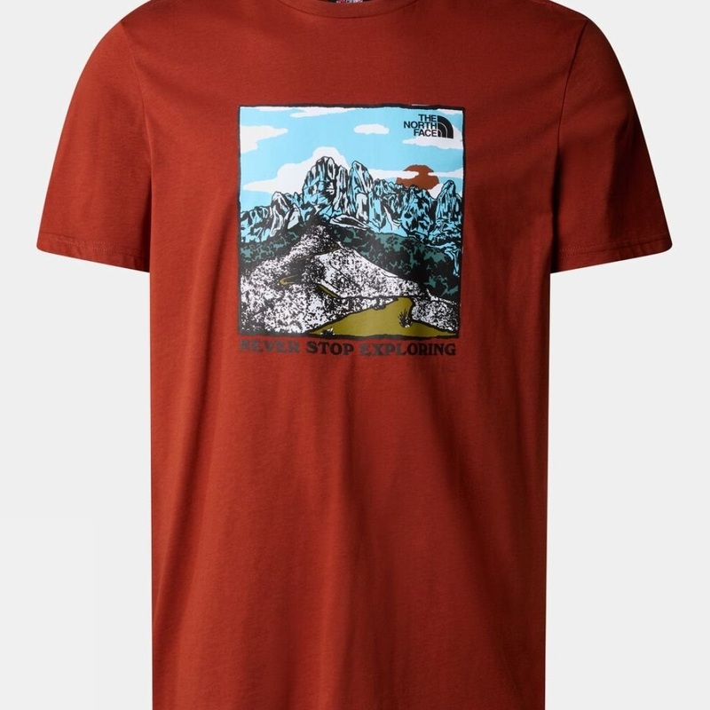 The North Face Mens Short-Sleeve Graphic T-Shirt